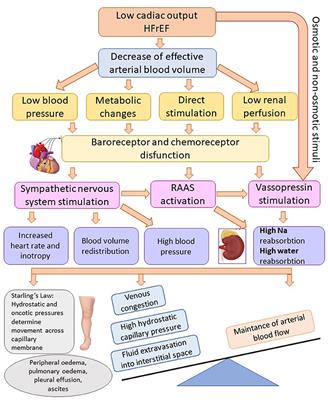 Biomarkers of Volume Overload and Edema in Heart Failure With Reduced Ejection Fraction